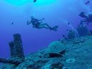 Hawaii Scuba divng 40