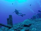 Hawaii Scuba divng 41