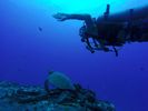 Hawaii Scuba divng 42