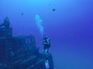 Hawaii Scuba divng 45