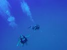 Hawaii Scuba divng 47