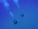 Hawaii Scuba divng 48