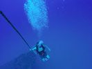 Hawaii Scuba divng 51