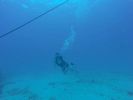 Hawaii Scuba divng 54