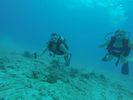 Hawaii Scuba divng 60