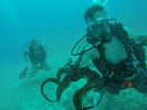 Hawaii Scuba divng 60