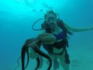 Hawaii Scuba divng 57