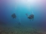 Hawaii Scuba divng 10