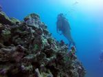 Hawaii Scuba divng 13