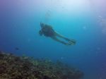 Hawaii Scuba divng 17