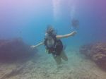 Hawaii Scuba divng 22