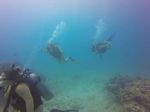 Hawaii Scuba divng 23