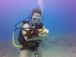 Hawaii Scuba divng 28