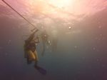 Hawaii Scuba divng 02