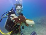 Hawaii Scuba divng 31