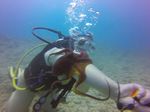 Hawaii Scuba divng 34