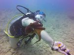 Hawaii Scuba divng 35