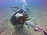 Hawaii Scuba divng 36