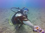 Hawaii Scuba divng 37