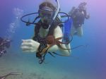 Hawaii Scuba divng 40