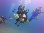 Hawaii Scuba divng 41