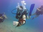 Hawaii Scuba divng 42