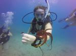 Hawaii Scuba divng 43