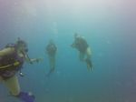 Hawaii Scuba divng 04