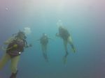 Hawaii Scuba divng 05