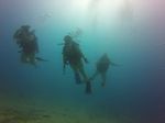 Hawaii Scuba divng 06