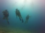 Hawaii Scuba divng 07