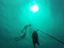 Hawaii Scuba divng 10