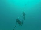 Hawaii Scuba divng 14