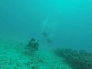 Hawaii Scuba divng 24