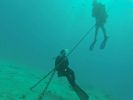 Hawaii Scuba divng 39