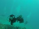 Hawaii Scuba divng 46