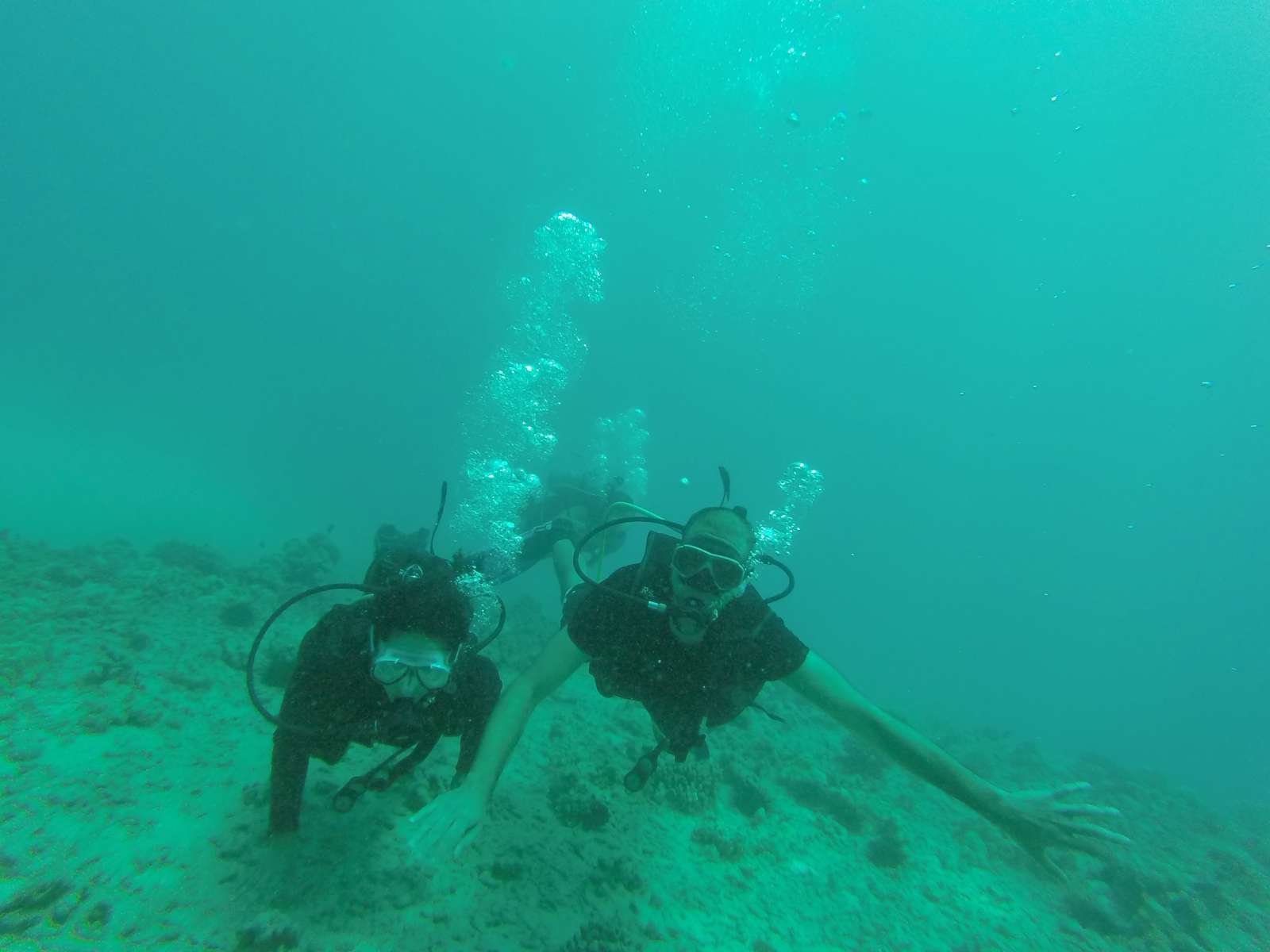 Hawaii Scuba Diving - 06-01-2016