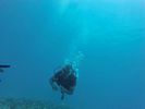 Hawaii Scuba divng 52