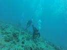 Hawaii Scuba divng 54