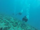 Hawaii Scuba divng 56