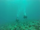 Hawaii Scuba divng 56