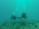 Hawaii Scuba divng 58