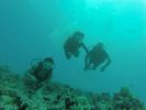 Hawaii Scuba divng 60