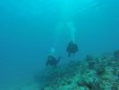 Hawaii Scuba divng 57