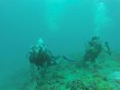 Hawaii Scuba divng 57