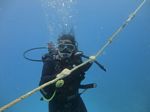 Hawaii Scuba divng 11