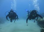 Hawaii Scuba divng 14