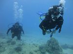 Hawaii Scuba divng 17