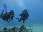 Hawaii Scuba divng 18