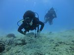 Hawaii Scuba divng 22